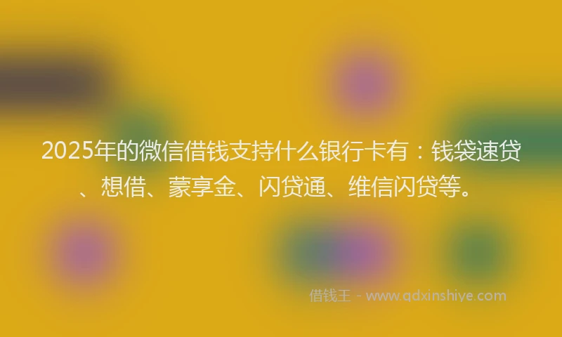 2025年的微信借钱支持什么银行卡有：钱袋速贷、想借、蒙享金、闪贷通、维信闪贷等。