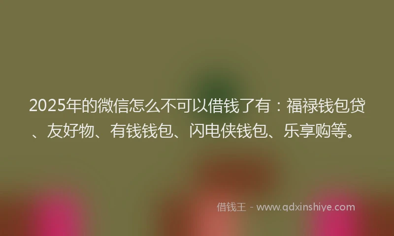 2025年的微信怎么不可以借钱了有：福禄钱包贷、友好物、有钱钱包、闪电侠钱包、乐享购等。