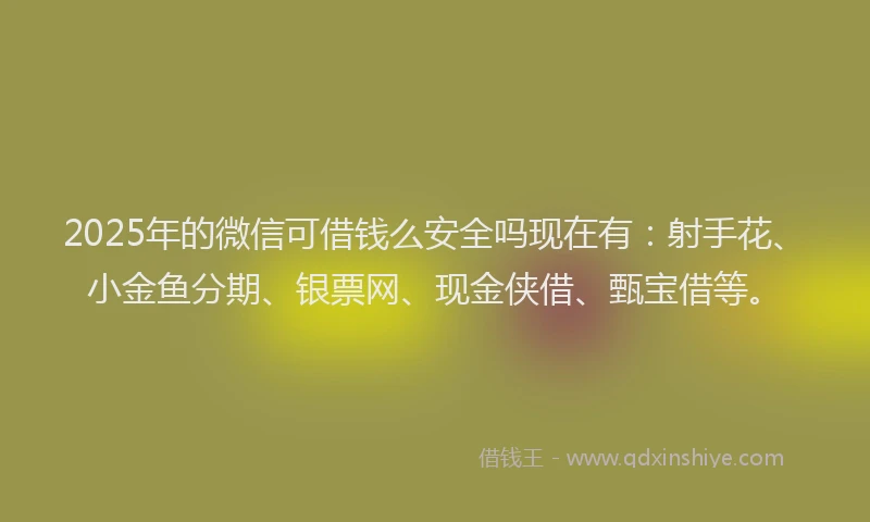 2025年的微信可借钱么安全吗现在有：射手花、小金鱼分期、银票网、现金侠借、甄宝借等。