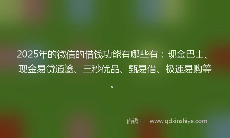 2025年的微信的借钱功能有哪些有：现金巴士、现金易贷通途、三秒优品、甄易借、极速易购等。