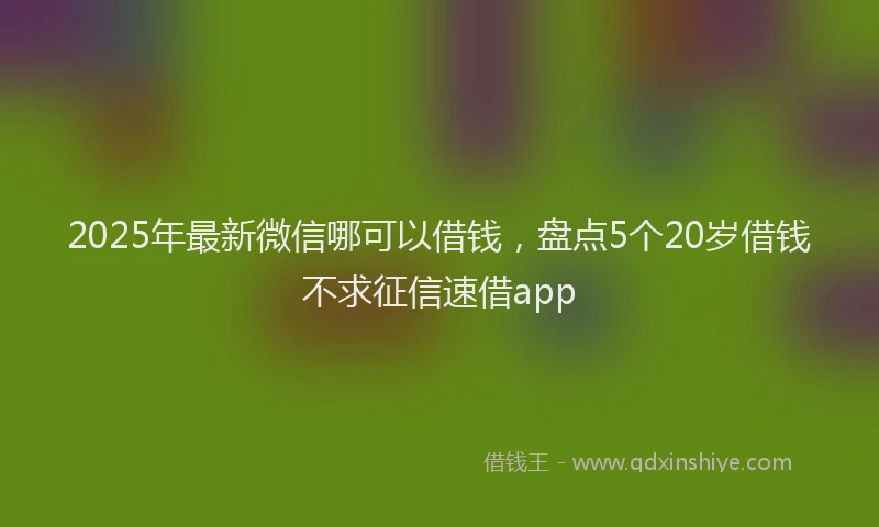 2025年最新微信哪可以借钱，盘点5个20岁借钱不求征信速借app