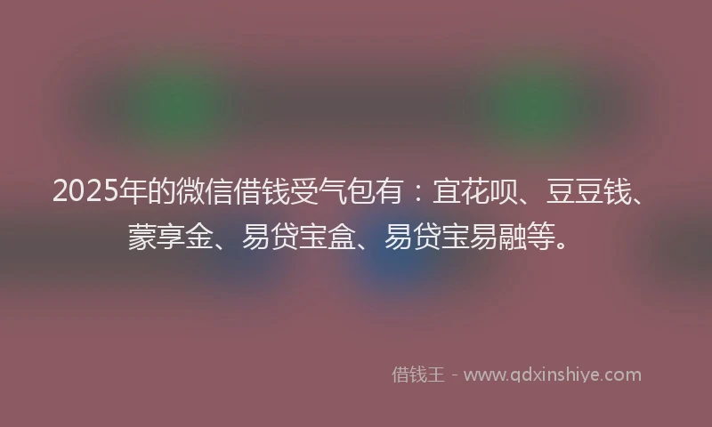 2025年的微信借钱受气包有：宜花呗、豆豆钱、蒙享金、易贷宝盒、易贷宝易融等。