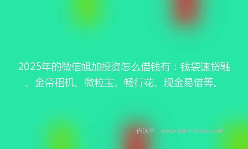 2025年的微信旭加投资怎么借钱有：钱袋速贷融、金帝租机、微粒宝、畅行花、现金易借等。