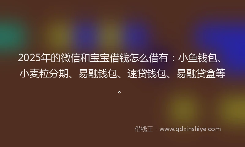 2025年的微信和宝宝借钱怎么借有：小鱼钱包、小麦粒分期、易融钱包、速贷钱包、易融贷盒等。