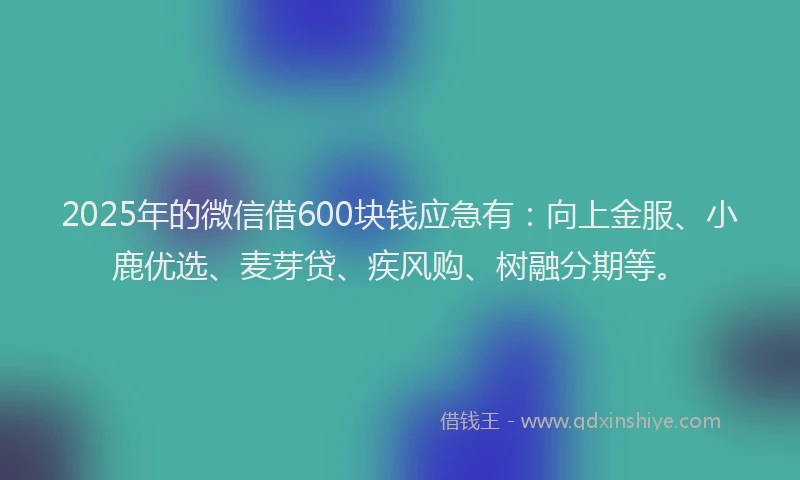2025年的微信借600块钱应急有：向上金服、小鹿优选、麦芽贷、疾风购、树融分期等。