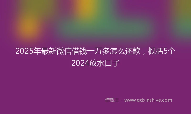 2025年最新微信借钱一万多怎么还款，概括5个2024放水口子