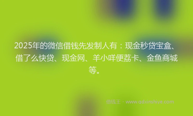 2025年的微信借钱先发制人有：现金秒贷宝盒、借了么快贷、现金网、羊小咩便荔卡、金鱼商城等。