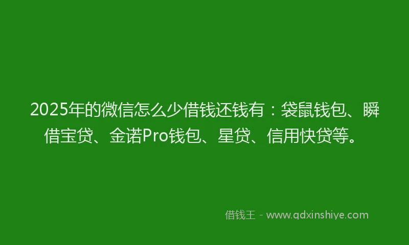 2025年的微信怎么少借钱还钱有：袋鼠钱包、瞬借宝贷、金诺Pro钱包、星贷、信用快贷等。