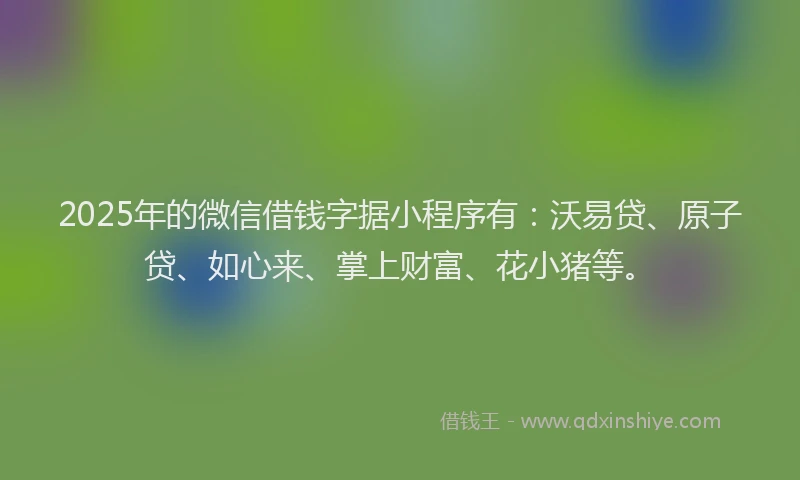 2025年的微信借钱字据小程序有：沃易贷、原子贷、如心来、掌上财富、花小猪等。