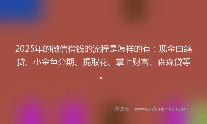 2025年的微信借钱的流程是怎样的有：现金白鸽贷、小金鱼分期、提取花、掌上财富、森森贷等。