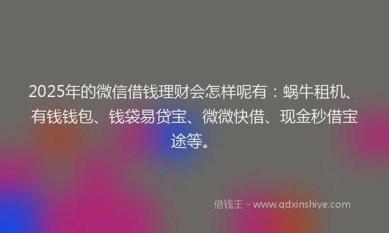 2025年的微信借钱理财会怎样呢有：蜗牛租机、有钱钱包、钱袋易贷宝、微微快借、现金秒借宝途等。