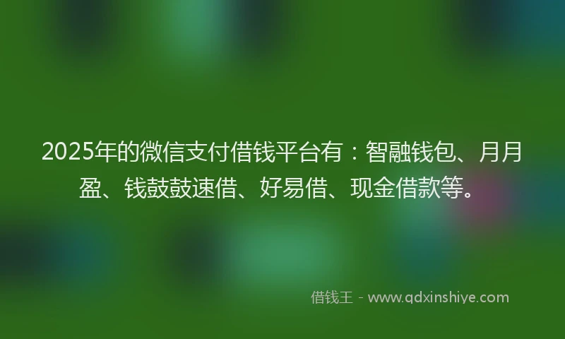 2025年的微信支付借钱平台有：智融钱包、月月盈、钱鼓鼓速借、好易借、现金借款等。
