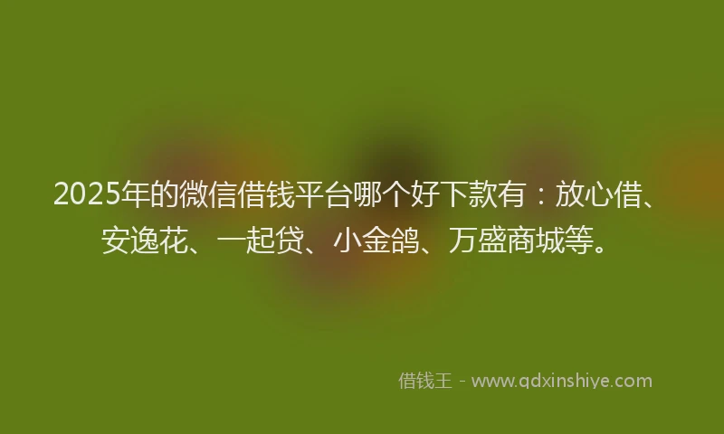 2025年的微信借钱平台哪个好下款有：放心借、安逸花、一起贷、小金鸽、万盛商城等。