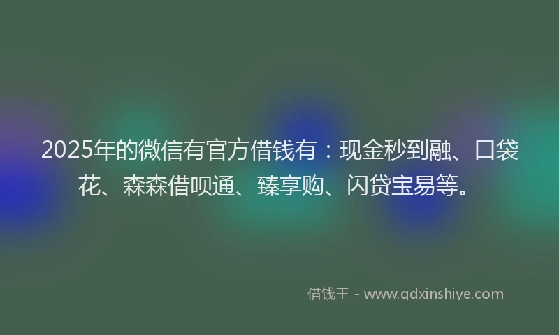 2025年的微信有官方借钱有：现金秒到融、口袋花、森森借呗通、臻享购、闪贷宝易等。