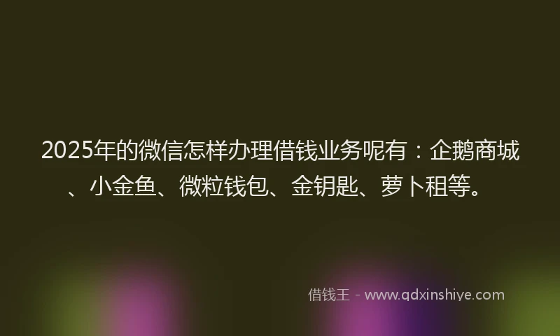2025年的微信怎样办理借钱业务呢有：企鹅商城、小金鱼、微粒钱包、金钥匙、萝卜租等。
