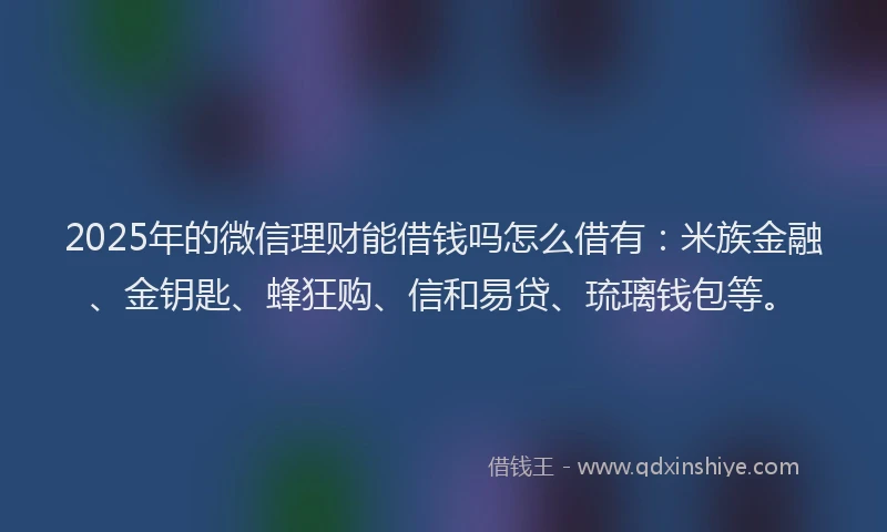 2025年的微信理财能借钱吗怎么借有：米族金融、金钥匙、蜂狂购、信和易贷、琉璃钱包等。