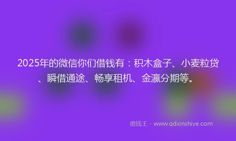 2025年的微信你们借钱有：积木盒子、小麦粒贷、瞬借通途、畅享租机、金瀛分期等。