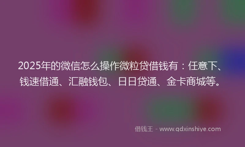 2025年的微信怎么操作微粒贷借钱有：任意下、钱速借通、汇融钱包、日日贷通、金卡商城等。
