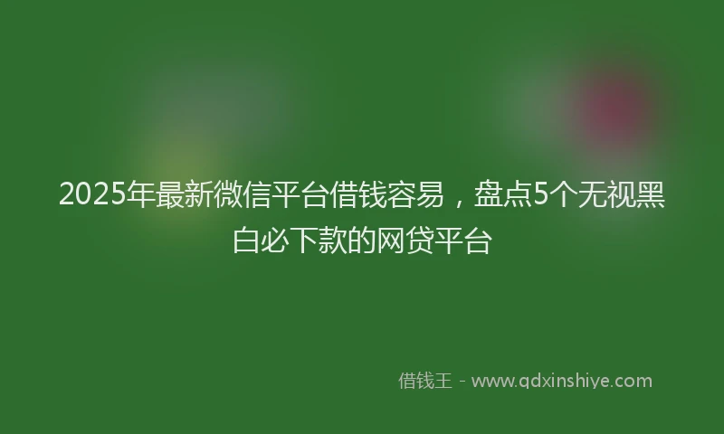 2025年最新微信平台借钱容易，盘点5个无视黑白必下款的网贷平台