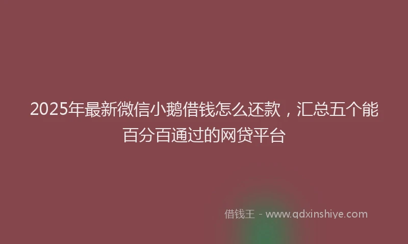 2025年最新微信小鹅借钱怎么还款，汇总五个能百分百通过的网贷平台