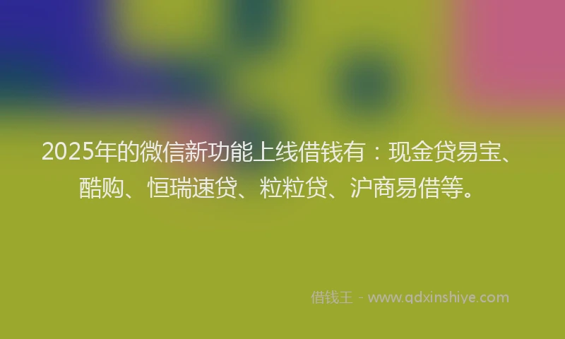 2025年的微信新功能上线借钱有：现金贷易宝、酷购、恒瑞速贷、粒粒贷、沪商易借等。