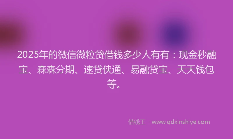 2025年的微信微粒贷借钱多少人有有：现金秒融宝、森森分期、速贷侠通、易融贷宝、天天钱包等。