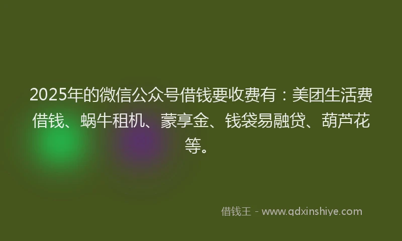 2025年的微信公众号借钱要收费有：美团生活费借钱、蜗牛租机、蒙享金、钱袋易融贷、葫芦花等。