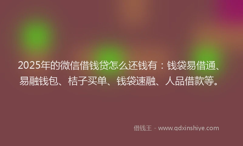 2025年的微信借钱贷怎么还钱有：钱袋易借通、易融钱包、桔子买单、钱袋速融、人品借款等。