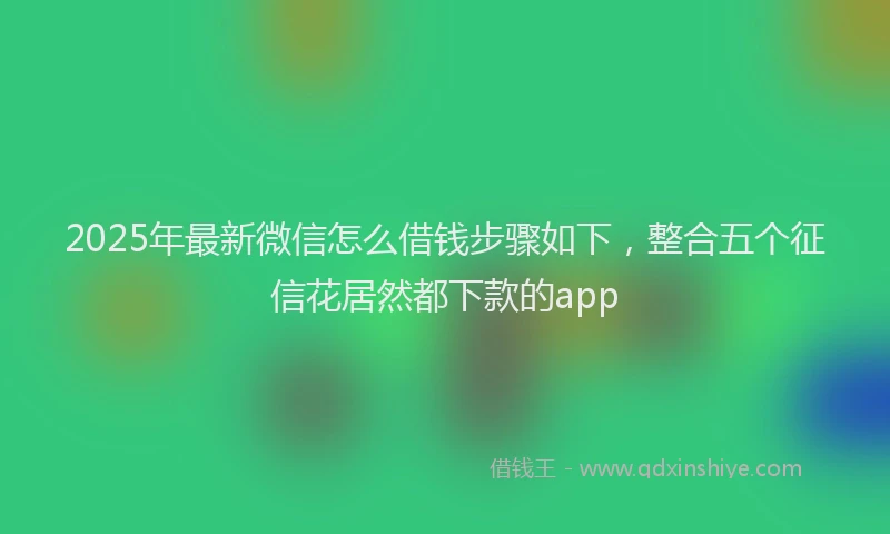 2025年最新微信怎么借钱步骤如下，整合五个征信花居然都下款的app