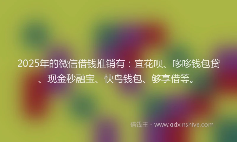 2025年的微信借钱推销有：宜花呗、哆哆钱包贷、现金秒融宝、快鸟钱包、够享借等。