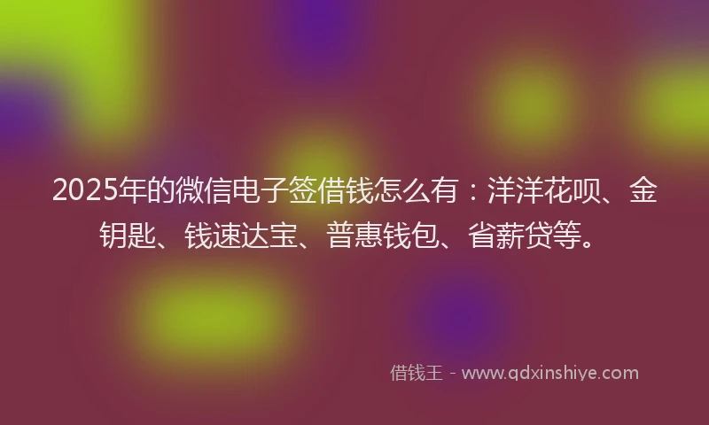 2025年的微信电子签借钱怎么有：洋洋花呗、金钥匙、钱速达宝、普惠钱包、省薪贷等。