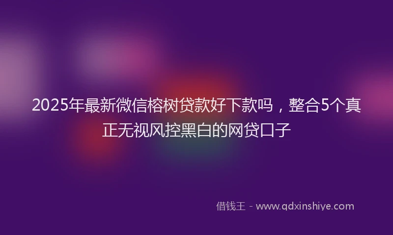 2025年最新微信榕树贷款好下款吗，整合5个真正无视风控黑白的网贷口子