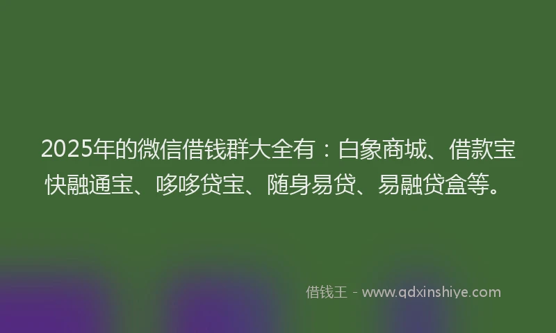 2025年的微信借钱群大全有：白象商城、借款宝快融通宝、哆哆贷宝、随身易贷、易融贷盒等。