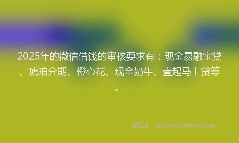2025年的微信借钱的审核要求有：现金易融宝贷、琥珀分期、橙心花、现金奶牛、壹起马上贷等。