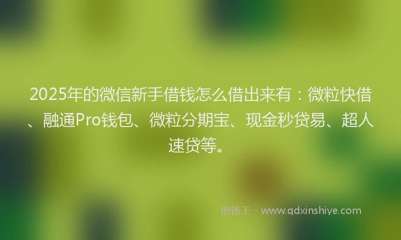 2025年的微信新手借钱怎么借出来有：微粒快借、融通Pro钱包、微粒分期宝、现金秒贷易、超人速贷等。