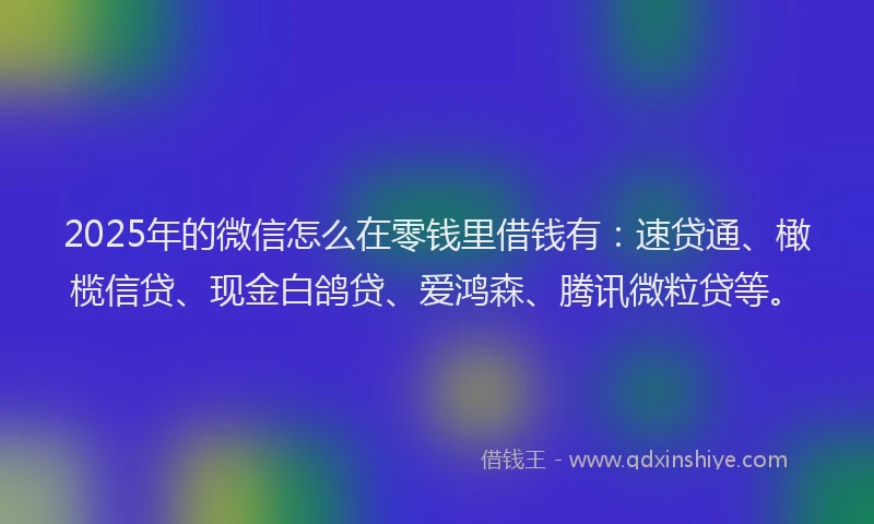 2025年的微信怎么在零钱里借钱有：速贷通、橄榄信贷、现金白鸽贷、爱鸿森、腾讯微粒贷等。