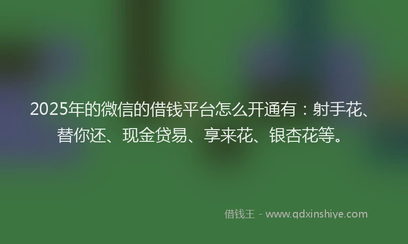 2025年的微信的借钱平台怎么开通有：射手花、替你还、现金贷易、享来花、银杏花等。