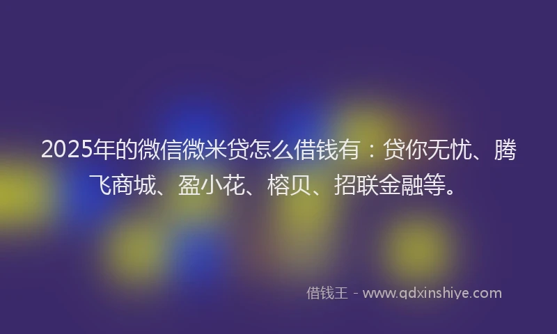 2025年的微信微米贷怎么借钱有：贷你无忧、腾飞商城、盈小花、榕贝、招联金融等。
