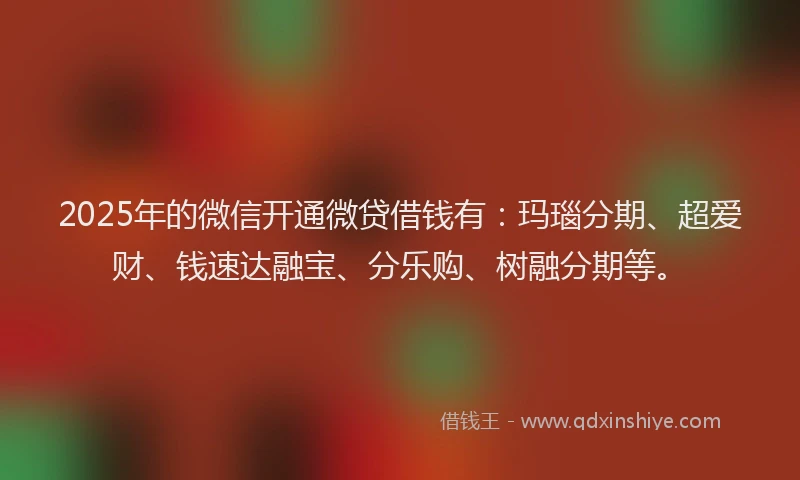 2025年的微信开通微贷借钱有：玛瑙分期、超爱财、钱速达融宝、分乐购、树融分期等。