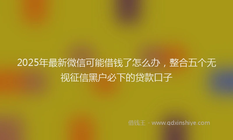 2025年最新微信可能借钱了怎么办，整合五个无视征信黑户必下的贷款口子
