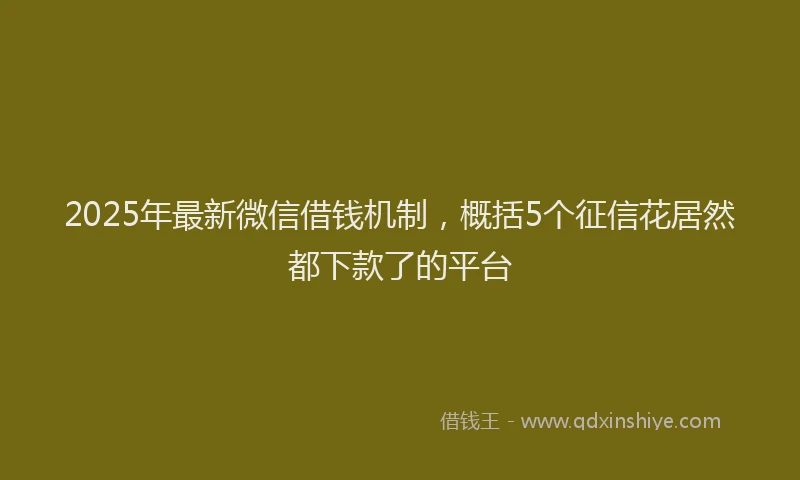 2025年最新微信借钱机制，概括5个征信花居然都下款了的平台