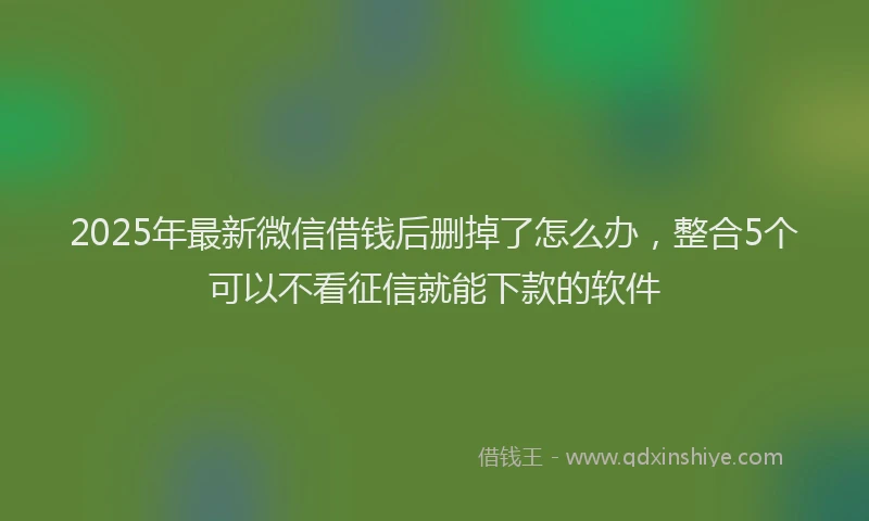 2025年最新微信借钱后删掉了怎么办，整合5个可以不看征信就能下款的软件