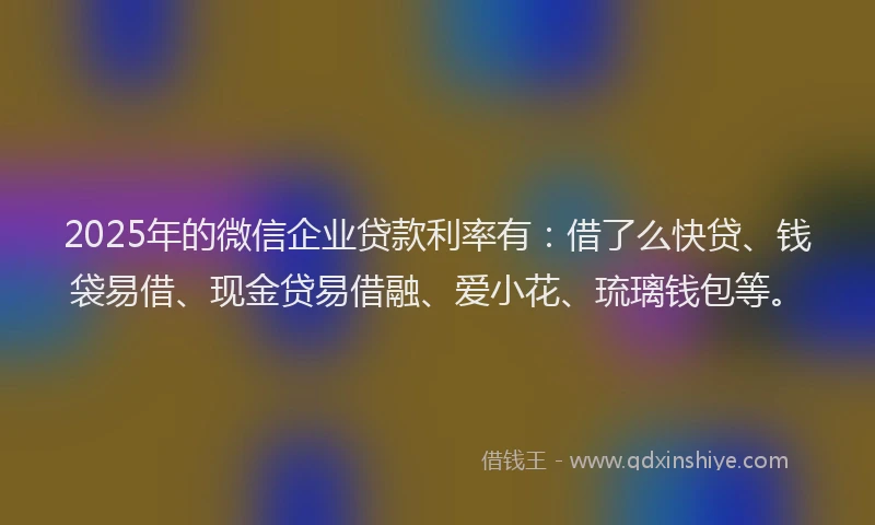 2025年的微信企业贷款利率有：借了么快贷、钱袋易借、现金贷易借融、爱小花、琉璃钱包等。