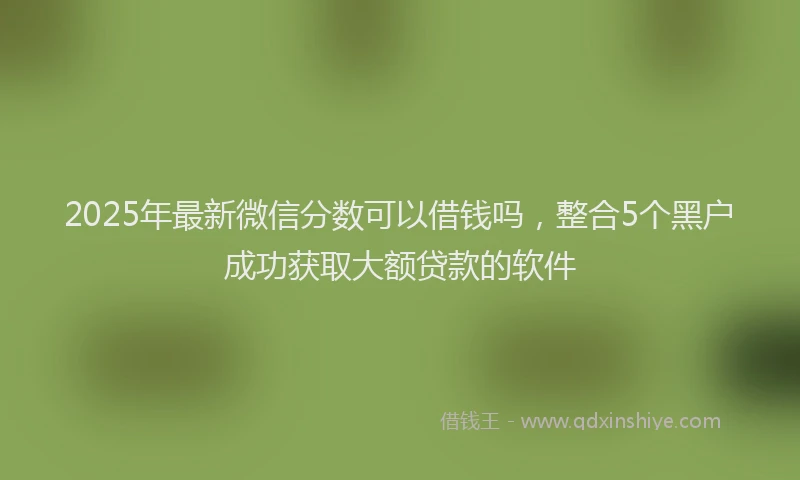 2025年最新微信分数可以借钱吗，整合5个黑户成功获取大额贷款的软件