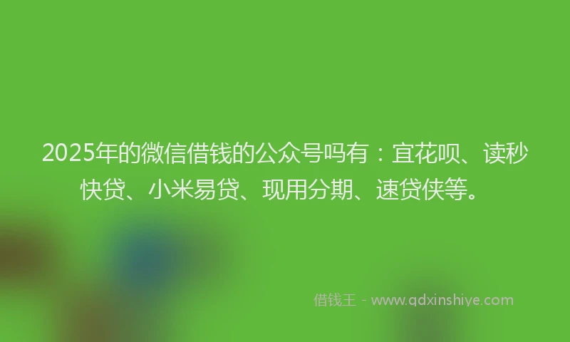 2025年的微信借钱的公众号吗有：宜花呗、读秒快贷、小米易贷、现用分期、速贷侠等。
