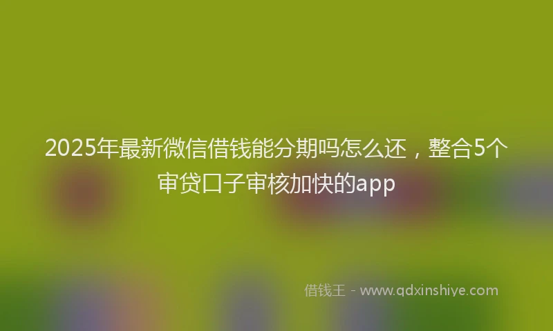 2025年最新微信借钱能分期吗怎么还，整合5个审贷口子审核加快的app