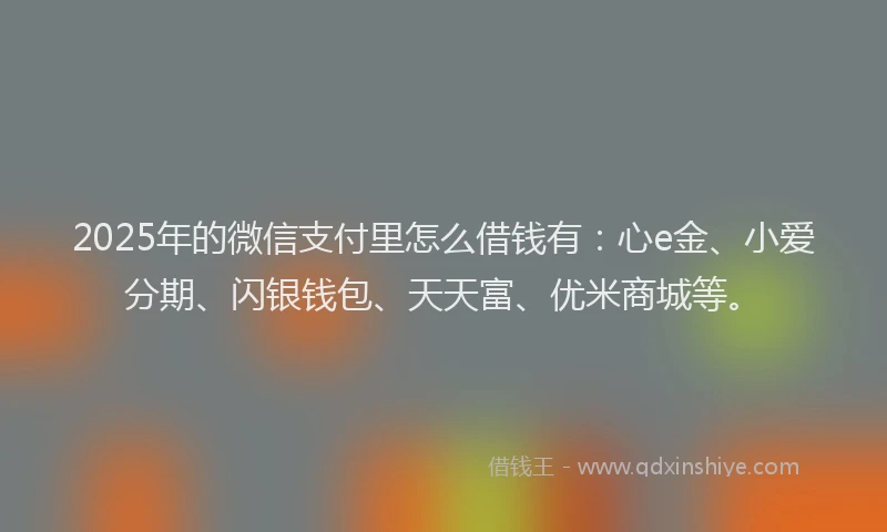 2025年的微信支付里怎么借钱有：心e金、小爱分期、闪银钱包、天天富、优米商城等。