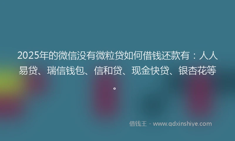 2025年的微信没有微粒贷如何借钱还款有：人人易贷、瑞信钱包、信和贷、现金快贷、银杏花等。