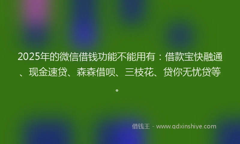 2025年的微信借钱功能不能用有：借款宝快融通、现金速贷、森森借呗、三枝花、贷你无忧贷等。