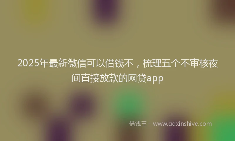 2025年最新微信可以借钱不，梳理五个不审核夜间直接放款的网贷app
